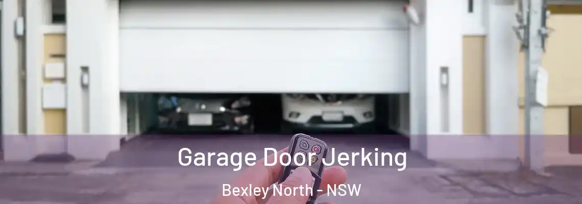Garage Door Jerking Bexley North - NSW