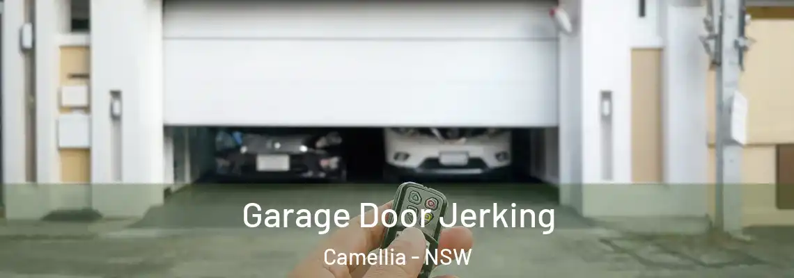Garage Door Jerking Camellia - NSW
