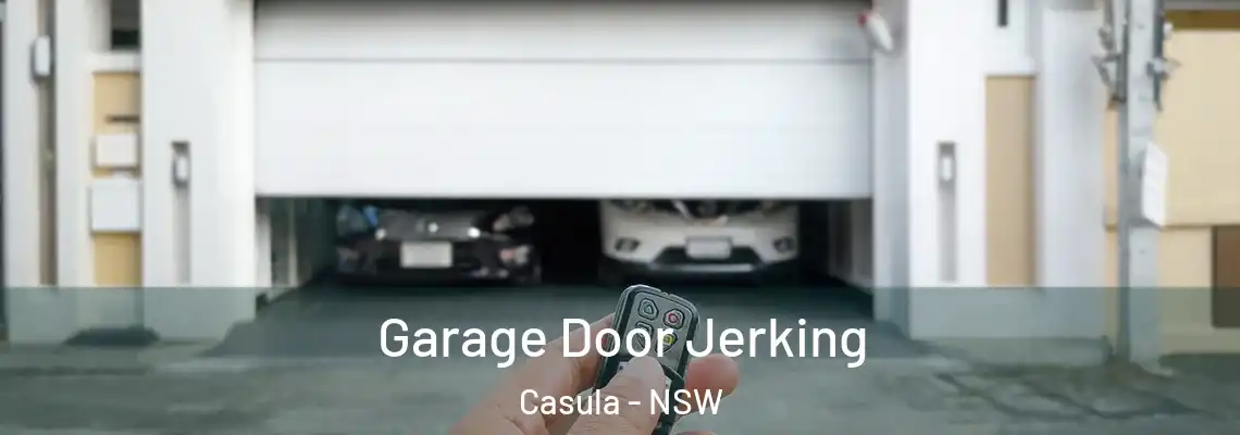 Garage Door Jerking Casula - NSW
