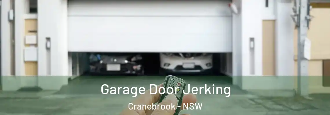 Garage Door Jerking Cranebrook - NSW