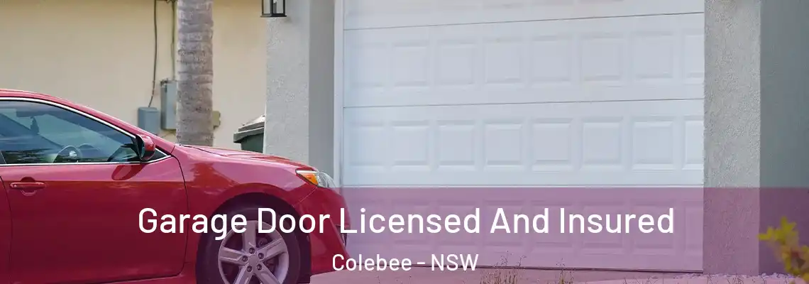 Garage Door Licensed And Insured Colebee - NSW