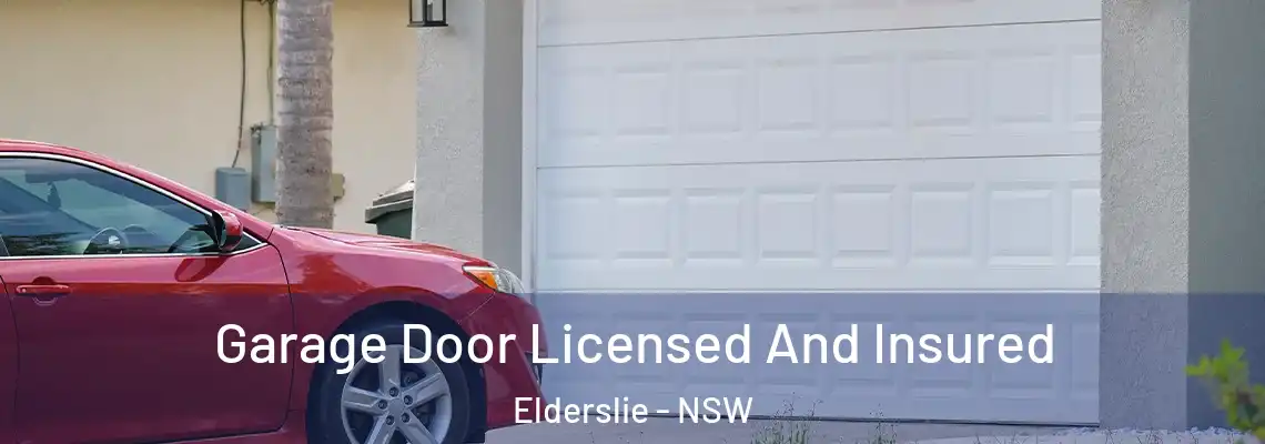 Garage Door Licensed And Insured Elderslie - NSW