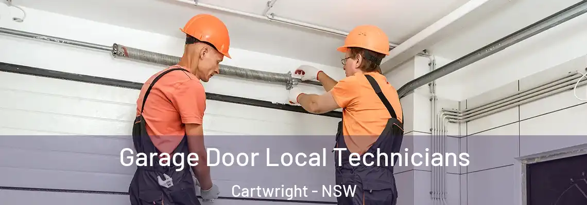 Garage Door Local Technicians Cartwright - NSW