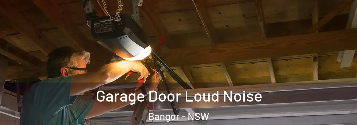 Garage Door Loud Noise Bangor - NSW