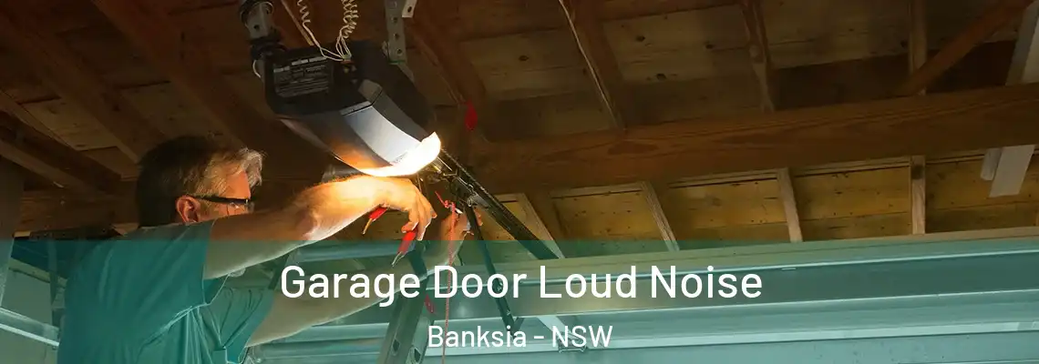 Garage Door Loud Noise Banksia - NSW