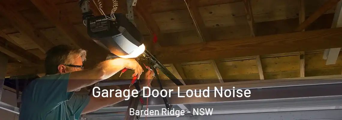 Garage Door Loud Noise Barden Ridge - NSW