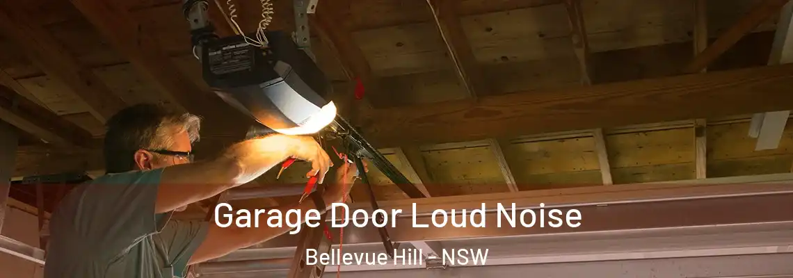 Garage Door Loud Noise Bellevue Hill - NSW