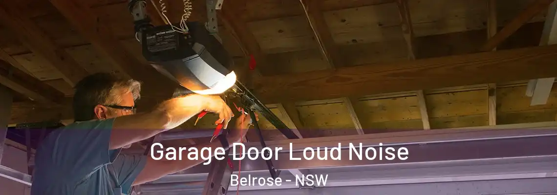 Garage Door Loud Noise Belrose - NSW