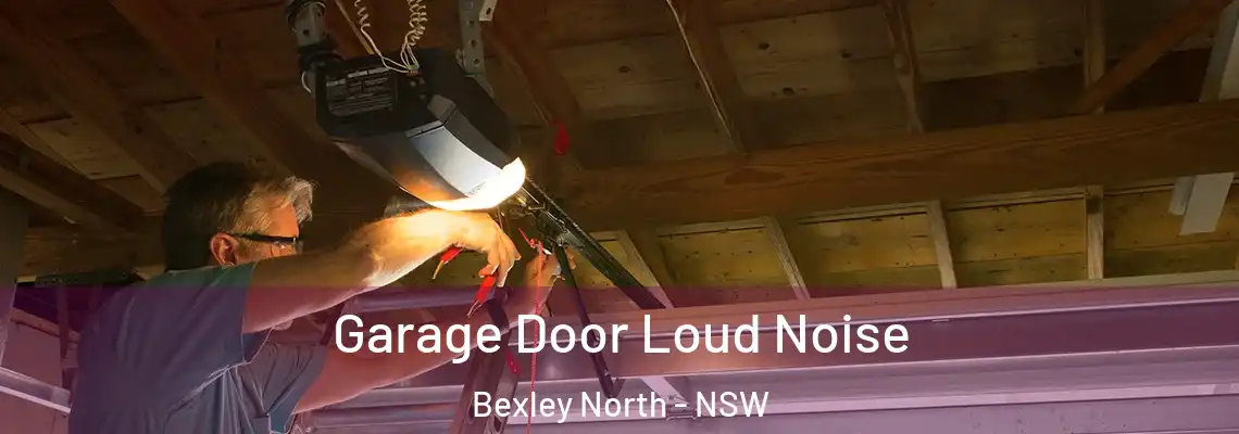 Garage Door Loud Noise Bexley North - NSW