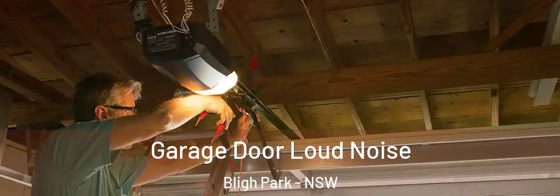 Garage Door Loud Noise Bligh Park - NSW