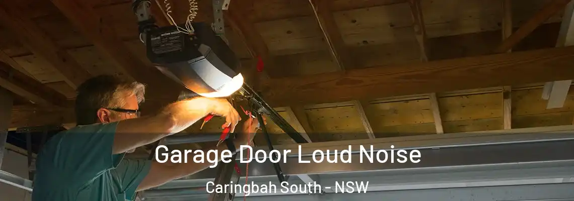 Garage Door Loud Noise Caringbah South - NSW