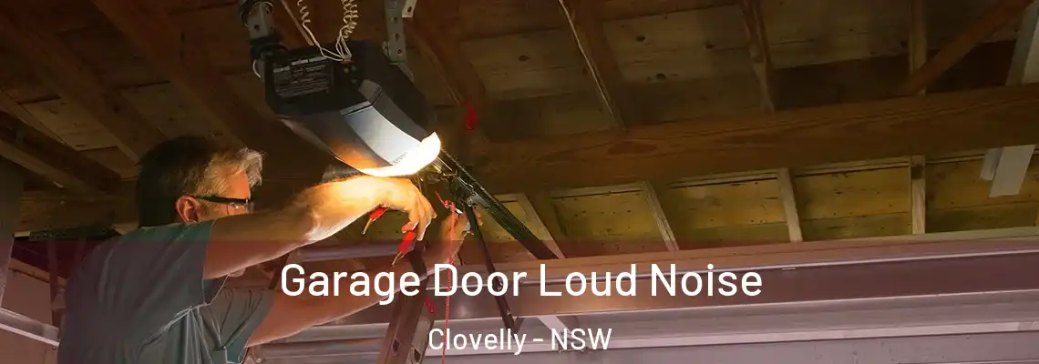 Garage Door Loud Noise Clovelly - NSW