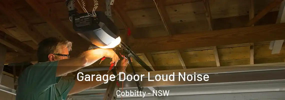 Garage Door Loud Noise Cobbitty - NSW