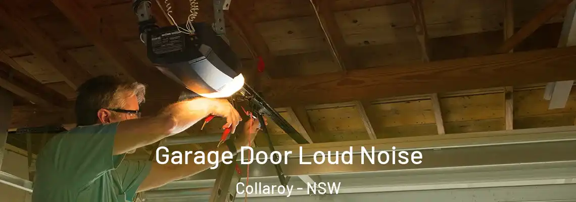 Garage Door Loud Noise Collaroy - NSW