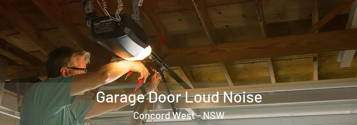 Garage Door Loud Noise Concord West - NSW
