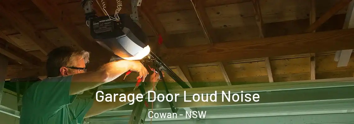 Garage Door Loud Noise Cowan - NSW