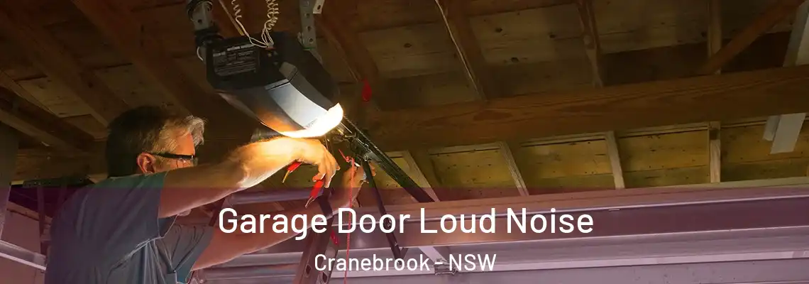 Garage Door Loud Noise Cranebrook - NSW