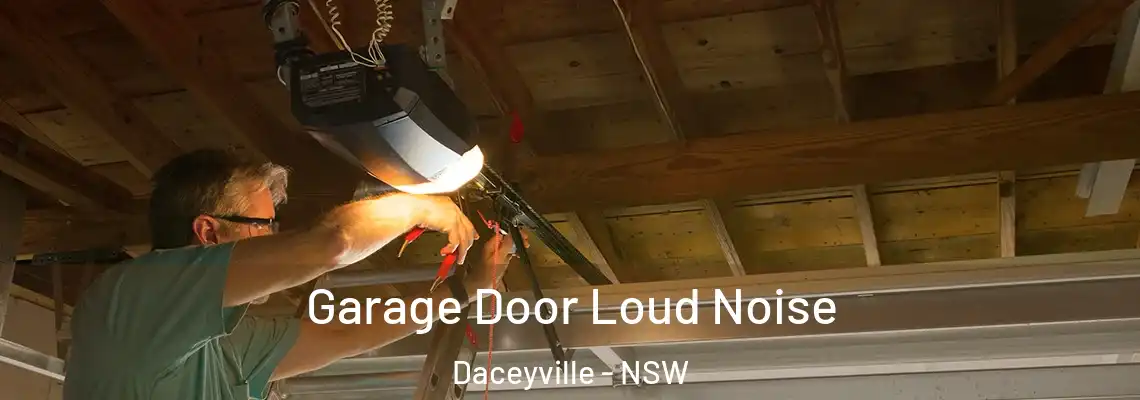 Garage Door Loud Noise Daceyville - NSW