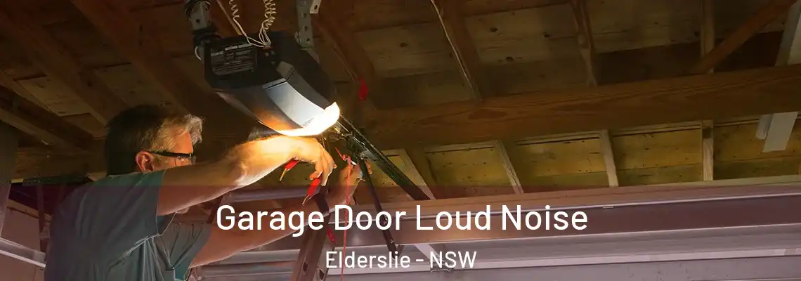 Garage Door Loud Noise Elderslie - NSW