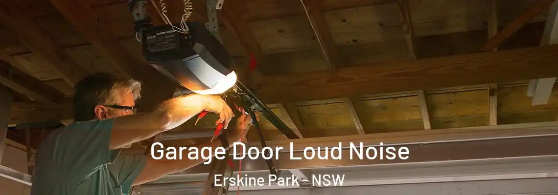 Garage Door Loud Noise Erskine Park - NSW