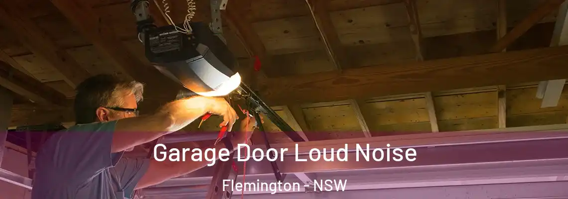 Garage Door Loud Noise Flemington - NSW