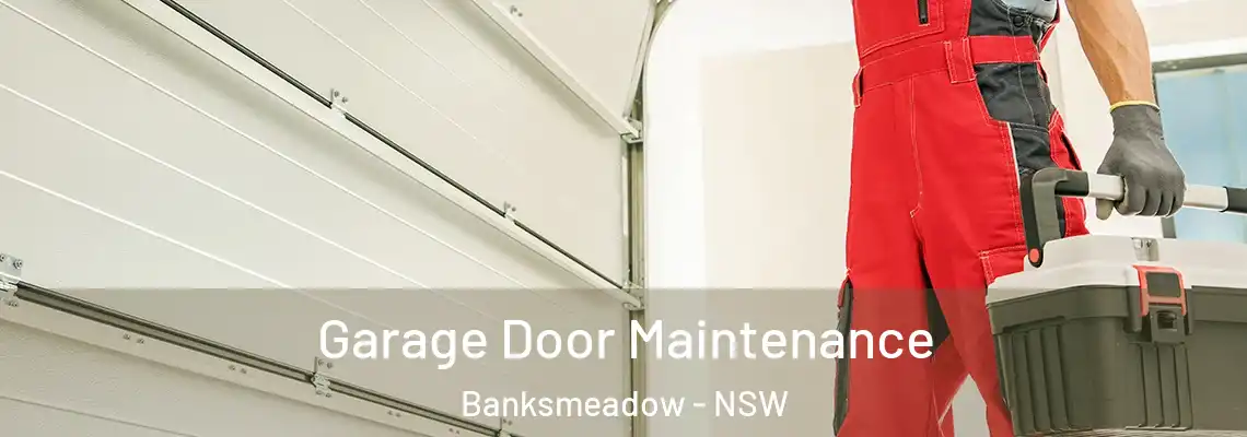 Garage Door Maintenance Banksmeadow - NSW