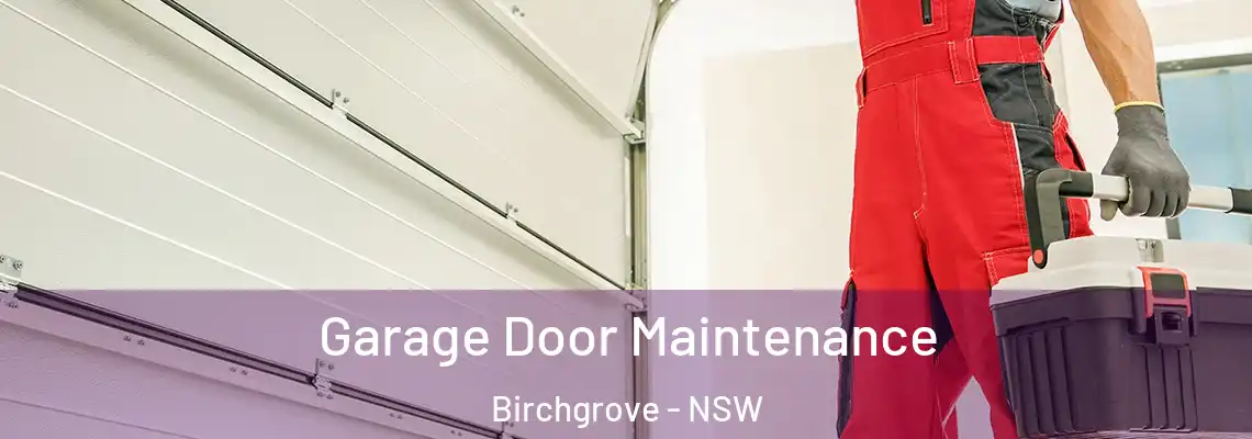 Garage Door Maintenance Birchgrove - NSW