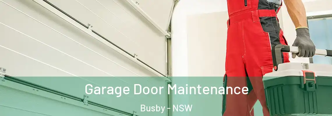 Garage Door Maintenance Busby - NSW
