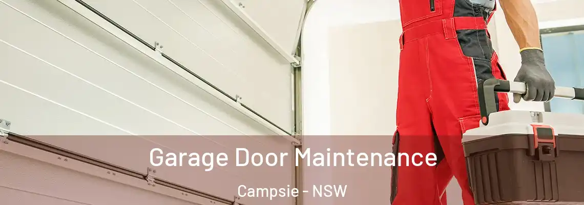 Garage Door Maintenance Campsie - NSW