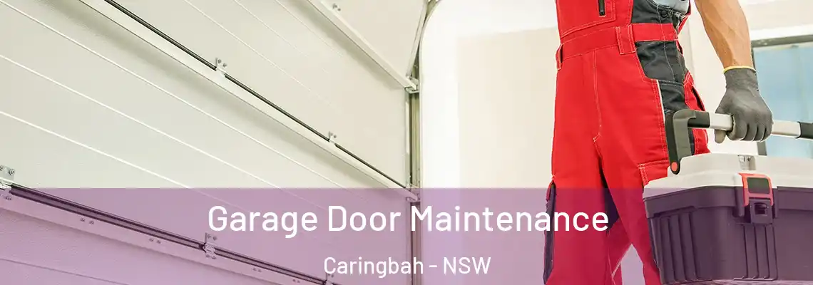Garage Door Maintenance Caringbah - NSW