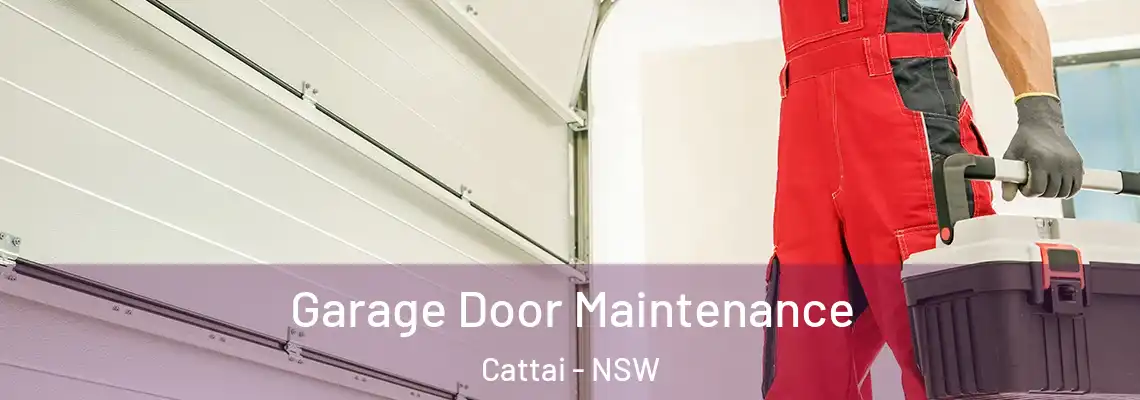 Garage Door Maintenance Cattai - NSW