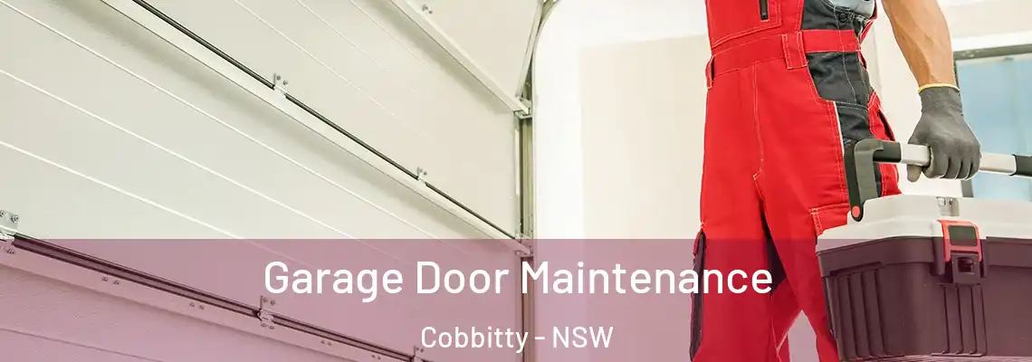 Garage Door Maintenance Cobbitty - NSW