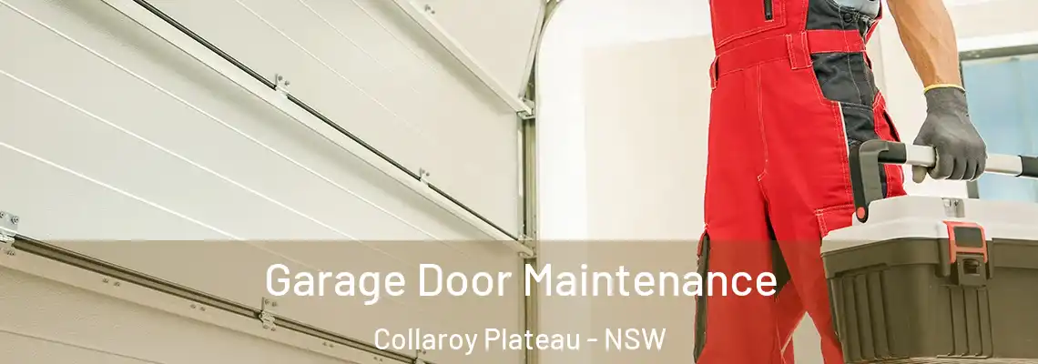 Garage Door Maintenance Collaroy Plateau - NSW