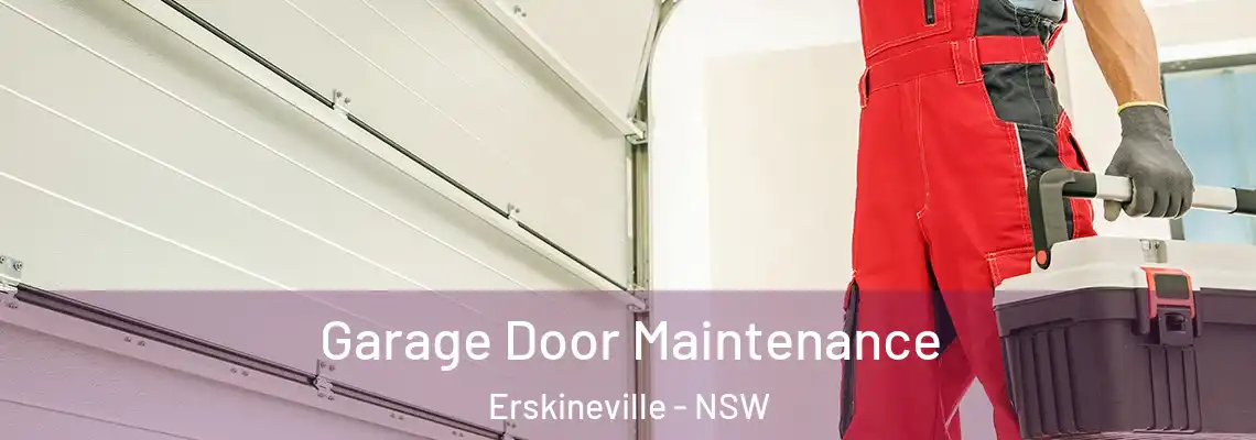 Garage Door Maintenance Erskineville - NSW