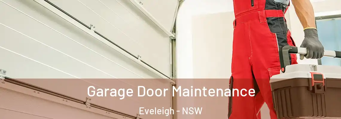 Garage Door Maintenance Eveleigh - NSW