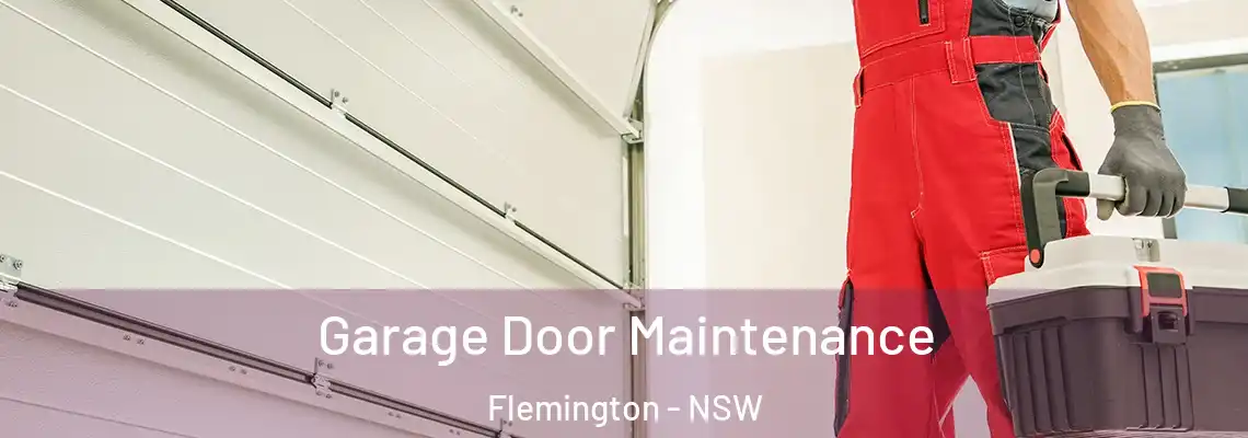 Garage Door Maintenance Flemington - NSW