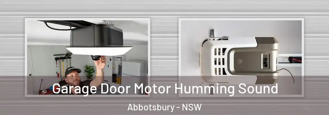 Garage Door Motor Humming Sound Abbotsbury - NSW
