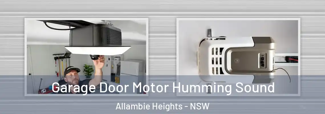 Garage Door Motor Humming Sound Allambie Heights - NSW