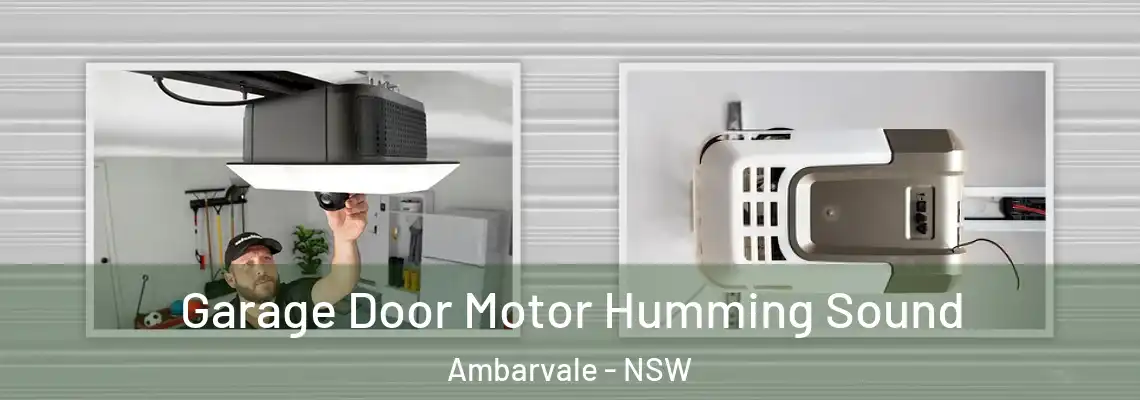 Garage Door Motor Humming Sound Ambarvale - NSW