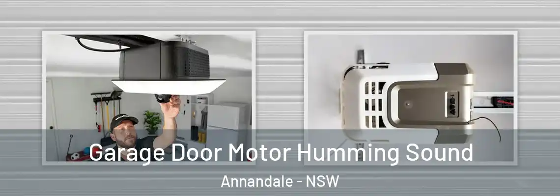 Garage Door Motor Humming Sound Annandale - NSW