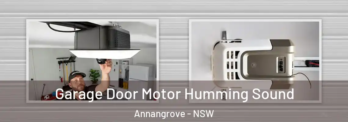 Garage Door Motor Humming Sound Annangrove - NSW