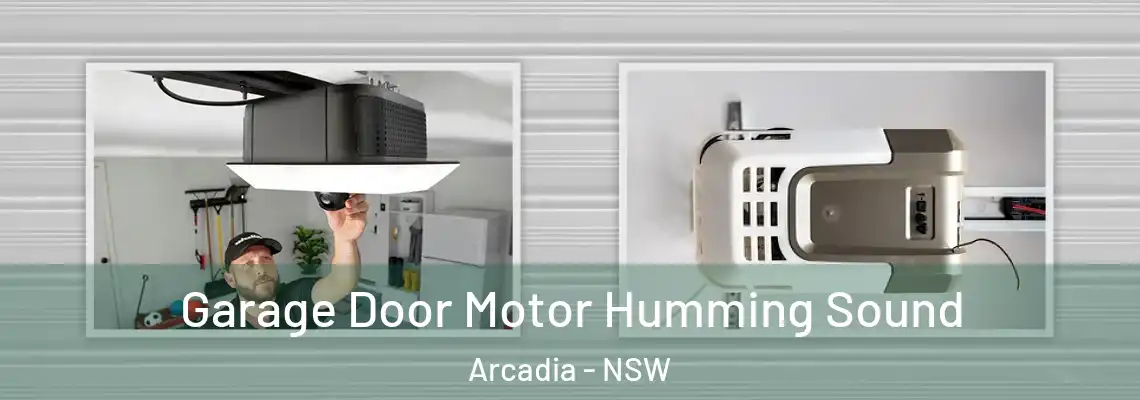 Garage Door Motor Humming Sound Arcadia - NSW