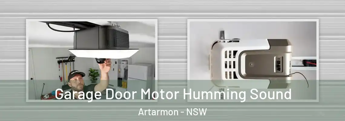 Garage Door Motor Humming Sound Artarmon - NSW