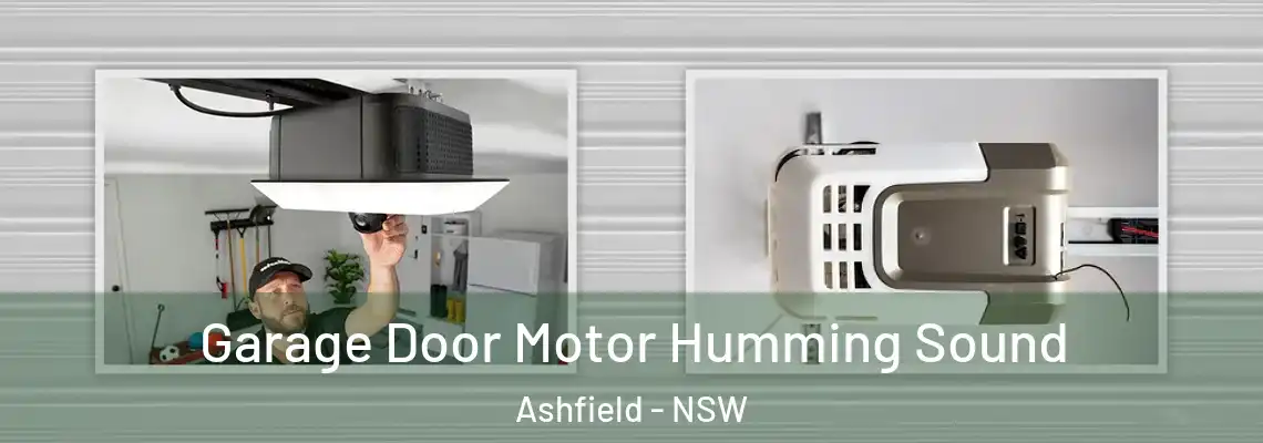 Garage Door Motor Humming Sound Ashfield - NSW