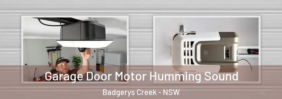 Garage Door Motor Humming Sound Badgerys Creek - NSW