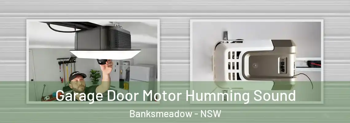 Garage Door Motor Humming Sound Banksmeadow - NSW