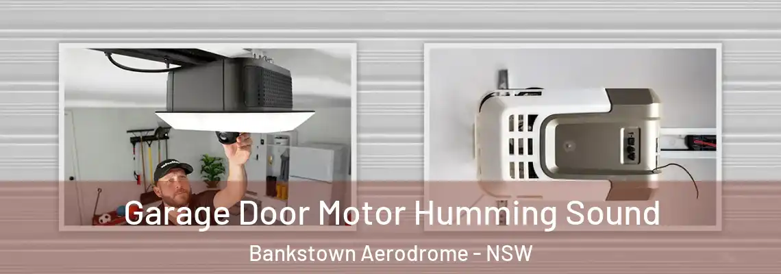 Garage Door Motor Humming Sound Bankstown Aerodrome - NSW