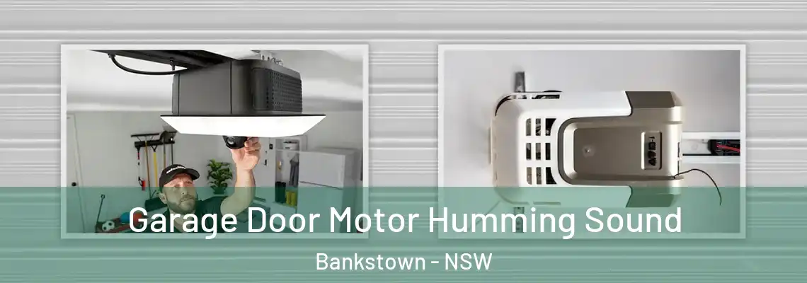 Garage Door Motor Humming Sound Bankstown - NSW