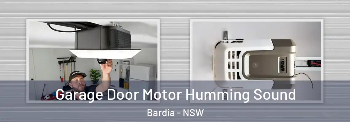 Garage Door Motor Humming Sound Bardia - NSW