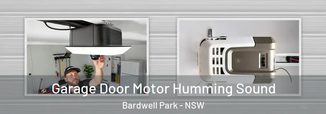 Garage Door Motor Humming Sound Bardwell Park - NSW